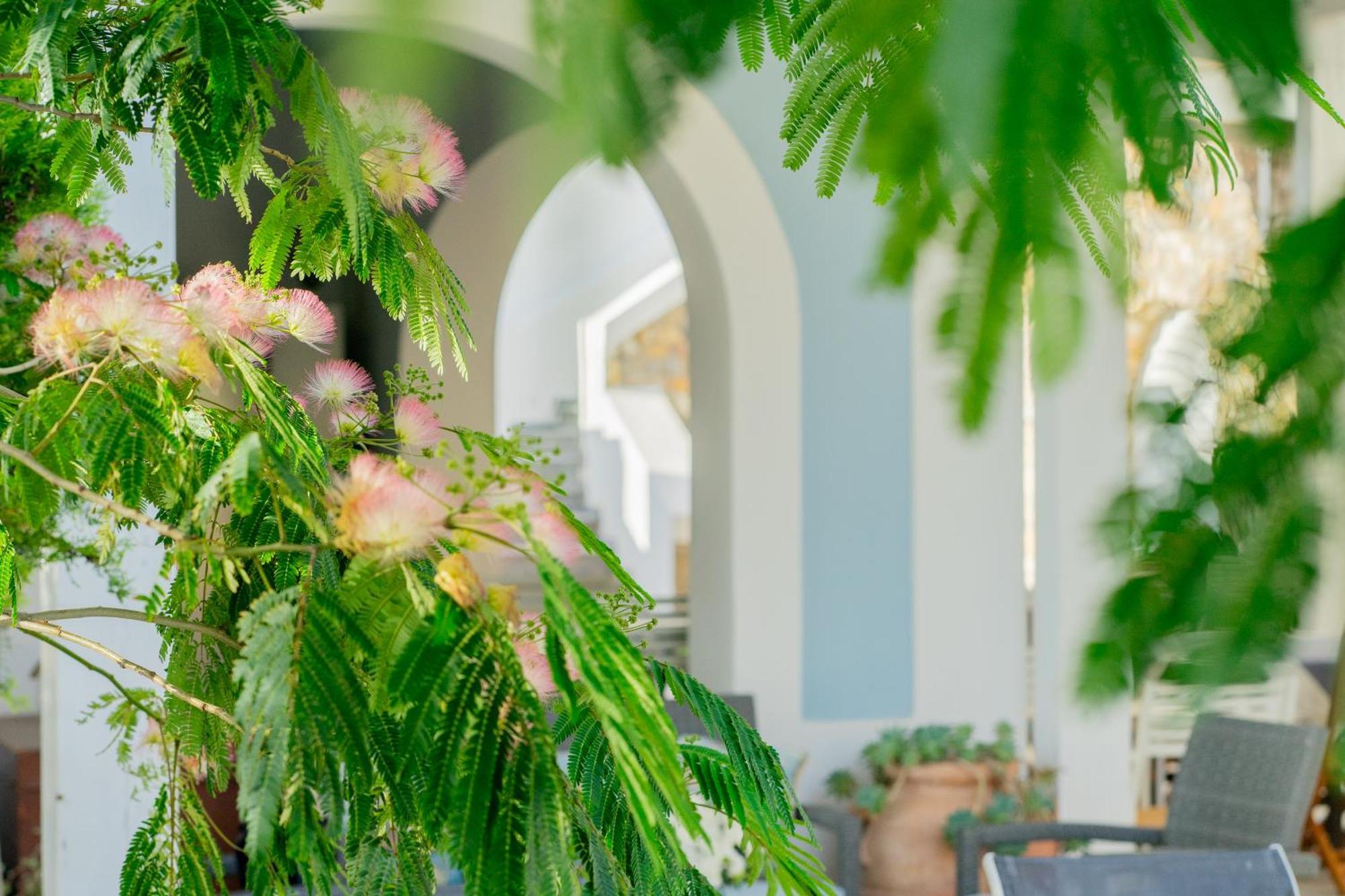 Villa Acacia Ponza Zewnętrze zdjęcie