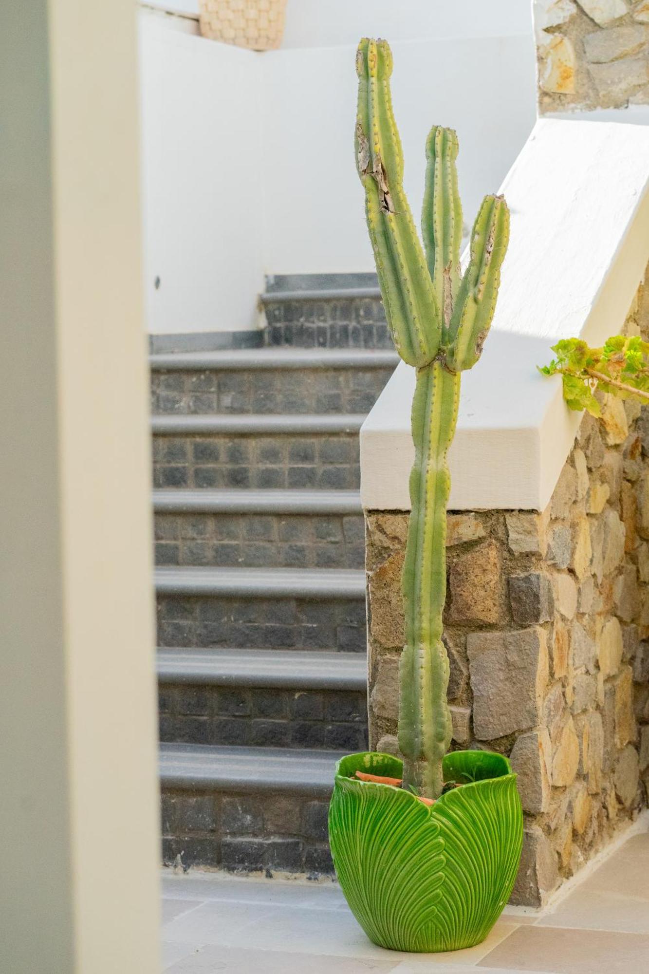 Villa Acacia Ponza Zewnętrze zdjęcie