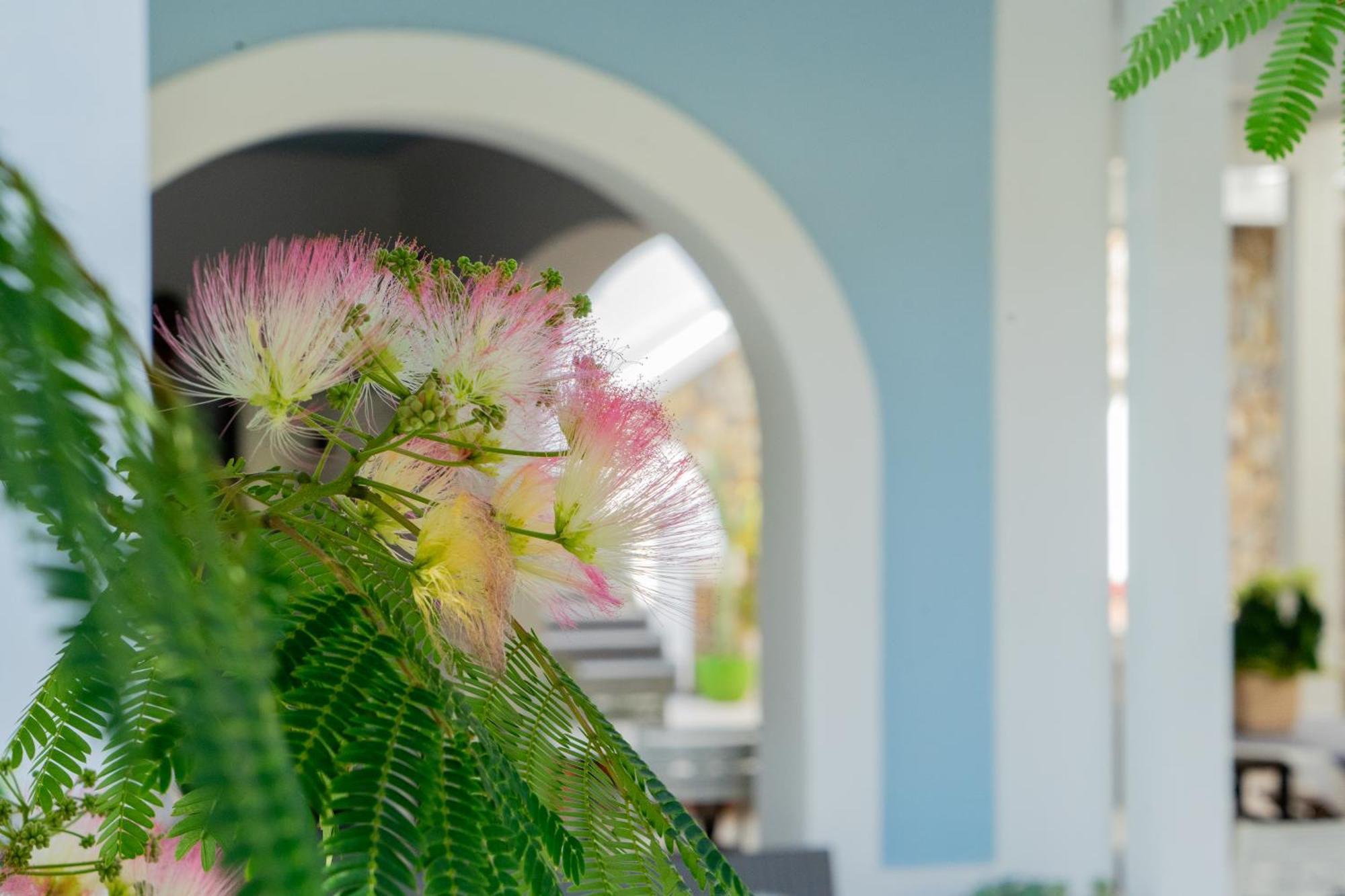 Villa Acacia Ponza Zewnętrze zdjęcie